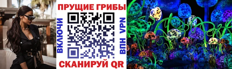 Псилоцибиновые грибы GOLDEN TEACHER  hydra как зайти  Усть-Джегута 