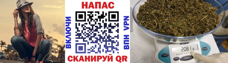Канабис SATIVA & INDICA  закладки  Усть-Джегута 